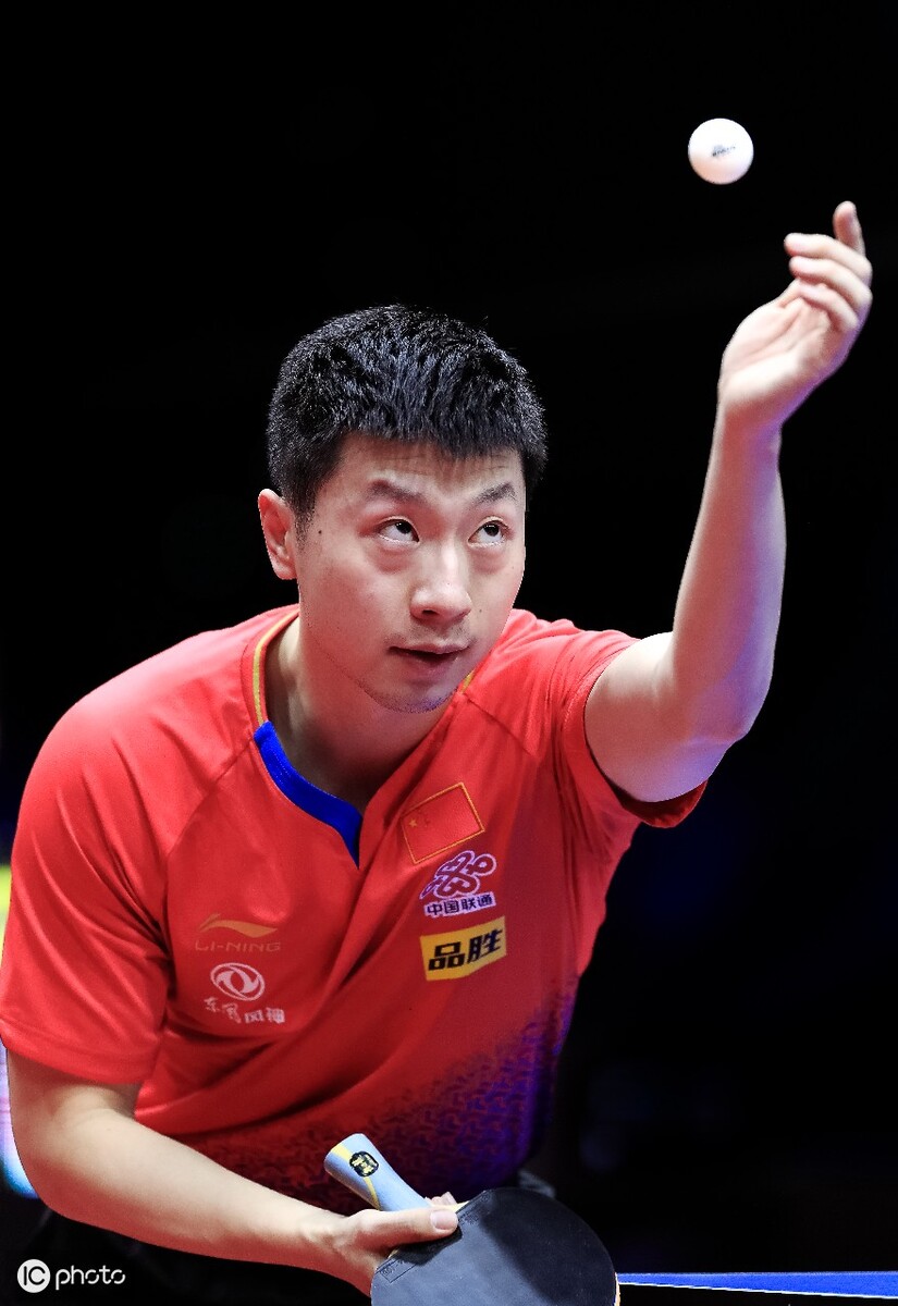 条款以及保 条款以及保