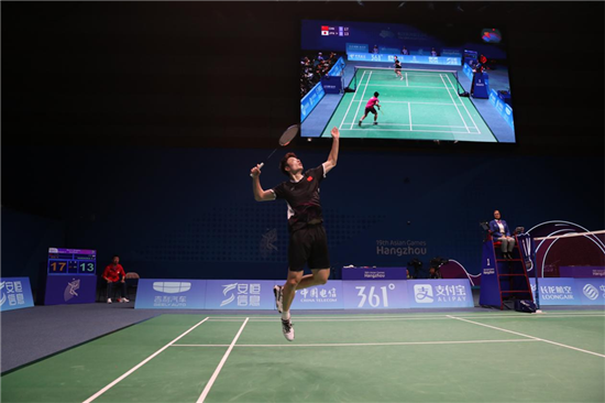 冰鸟角落放 冰鸟角落放